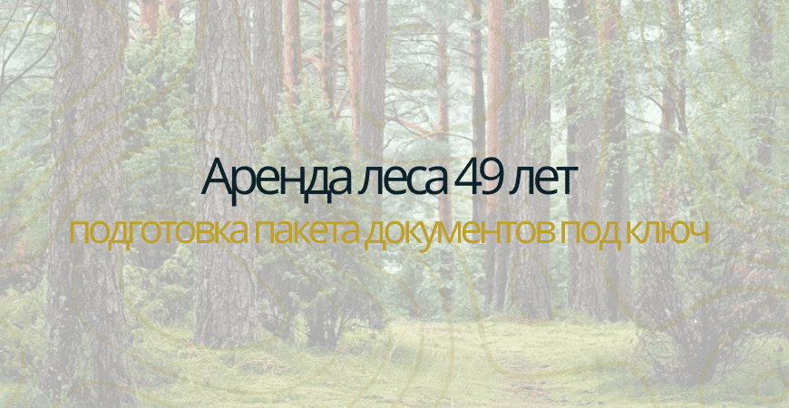 Аренда леса на 49 лет в Казани