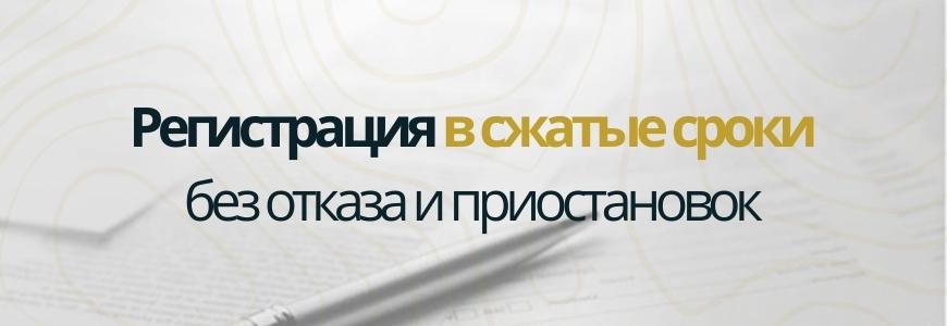 Регистрация в сжатые сроки под ключ в посёлке Борисоглебское