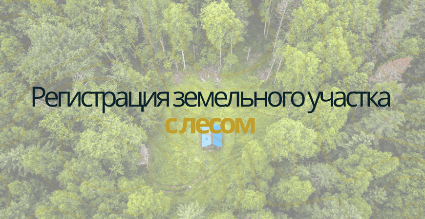 Земельный участок с лесом в Казани